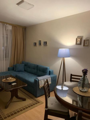 Nikolic Apartment